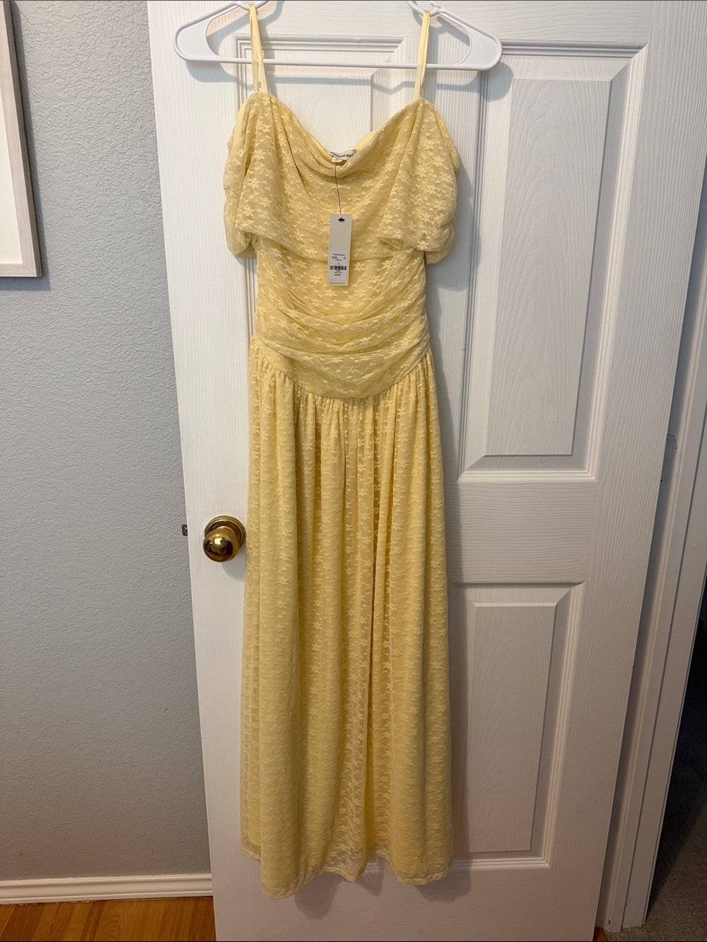 Francesca's Collections Pale Yellow Lace Maxi Dress